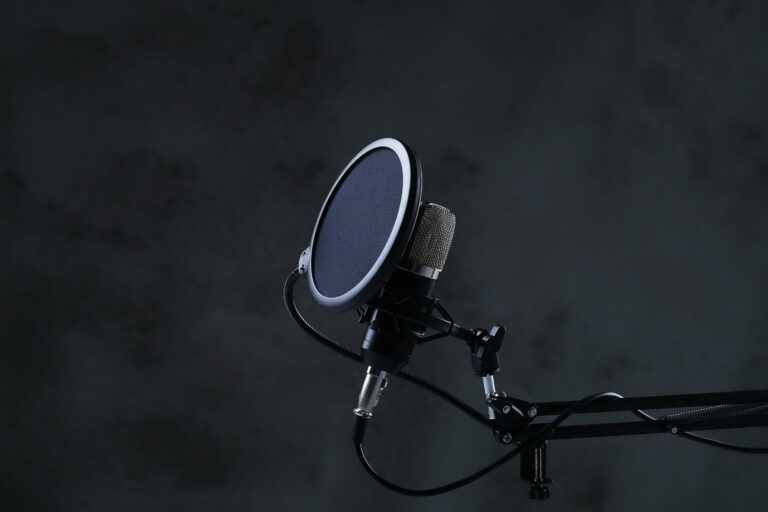 2 of the best budget large diaphragm condenser microphones - decibel peak
